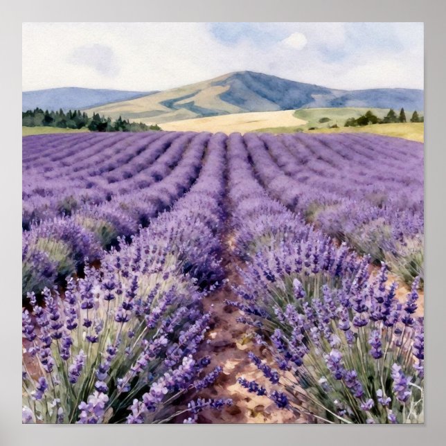 Vibrant Lavender Rows Stretching Toward the Sun-Dr Poster (Front)
