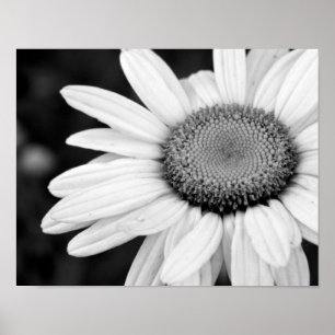 vibrant macro black and white photography floral poster