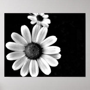 vibrant macro black and white photography floral poster