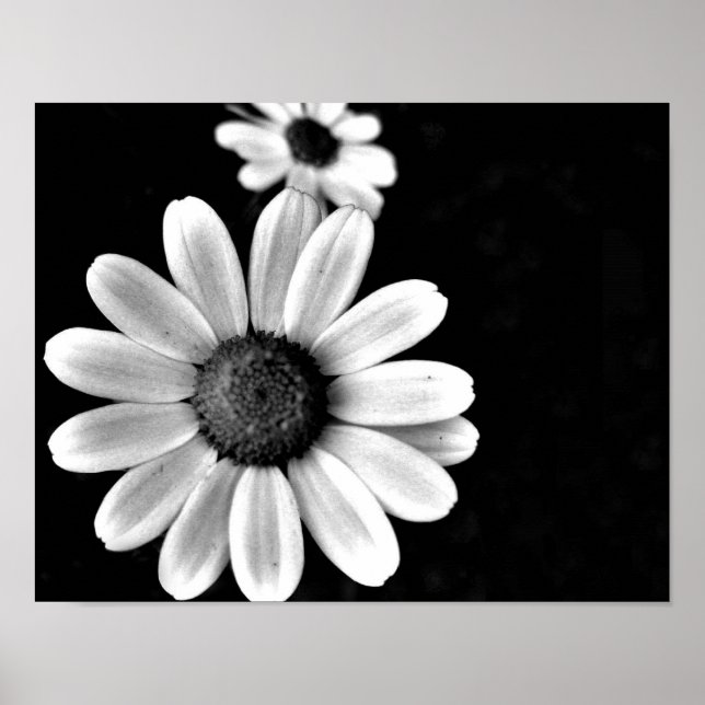 vibrant macro black and white photography floral poster (Front)