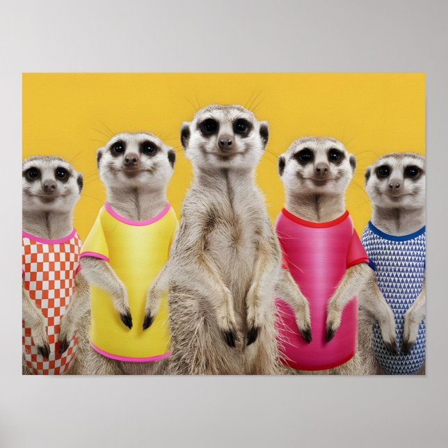 Vibrant Meerkat Group in Stylish Outfits Poster (Front)