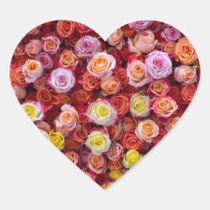 Vibrant Mixed Colour Roses Floral Heart Sticker