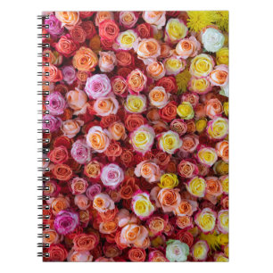 Vibrant Mixed Colour Roses Floral Notebook
