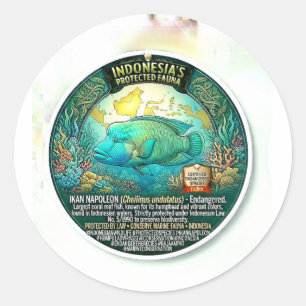 Vibrant Napoleon Fish Art - Rare Indonesian Coral Classic Round Sticker