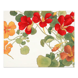 Vibrant Nasturtium Flower Painting Photo Print