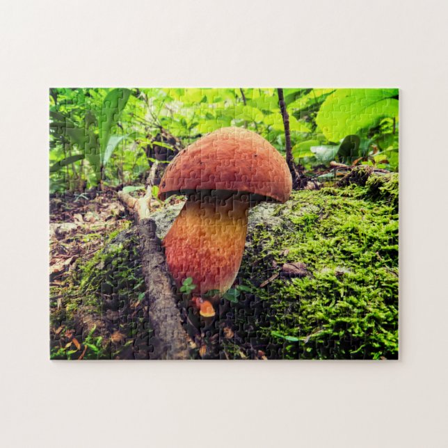 Vibrant Nature | King Bolete Jigsaw Puzzle (Horizontal)