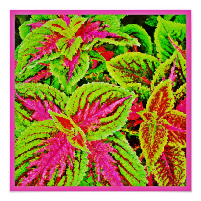 Vibrant Nature Leaves Pattern Poster (Front)
