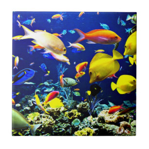 Vibrant Ocean Life Tile