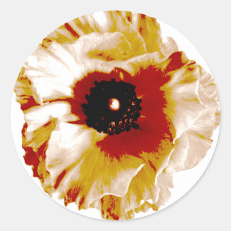 vibrant orange and white ranunculus classic round sticker