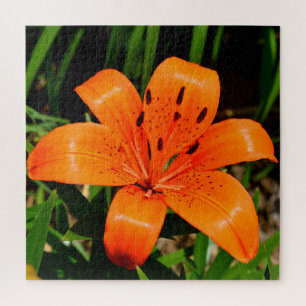 Vibrant orange Asian Lily Flower Jigsaw Puzzle