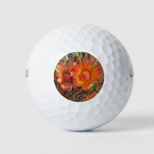 Vibrant Orange Cactus Flowers Close-up Photo Golf Balls
