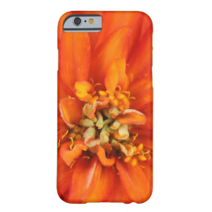 Vibrant Orange Flower Photo Barely There iPhone 6 Case