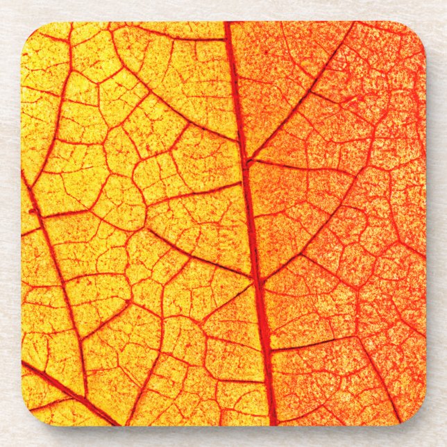 Vibrant Orange Leaf Pattern Coaster (Front)