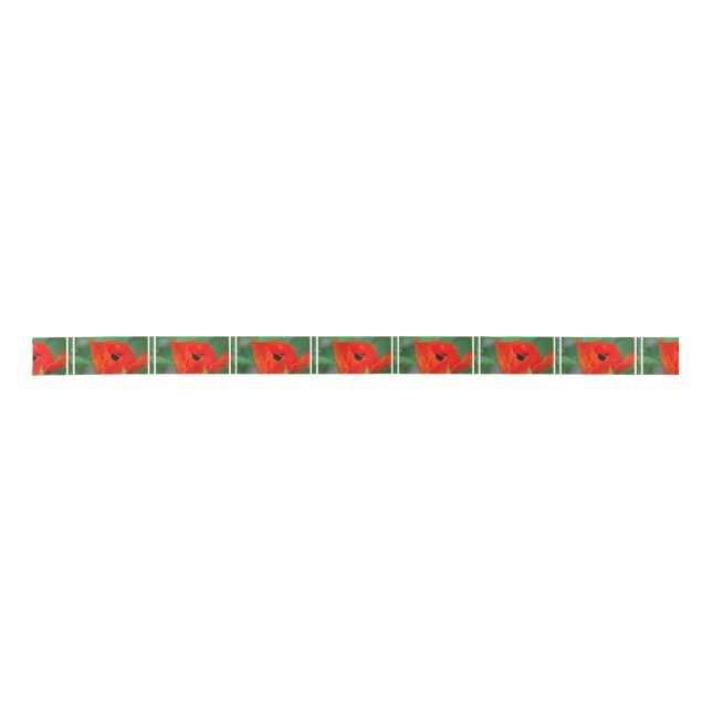 Vibrant Orange Poppy Satin Ribbon (Front)