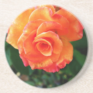 Vibrant Orange Rose Photograph Coaster