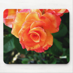 Vibrant Orange Rose Photograph Mouse Pad