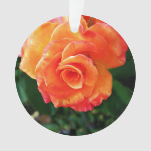 Vibrant Orange Rose Photograph Ornament