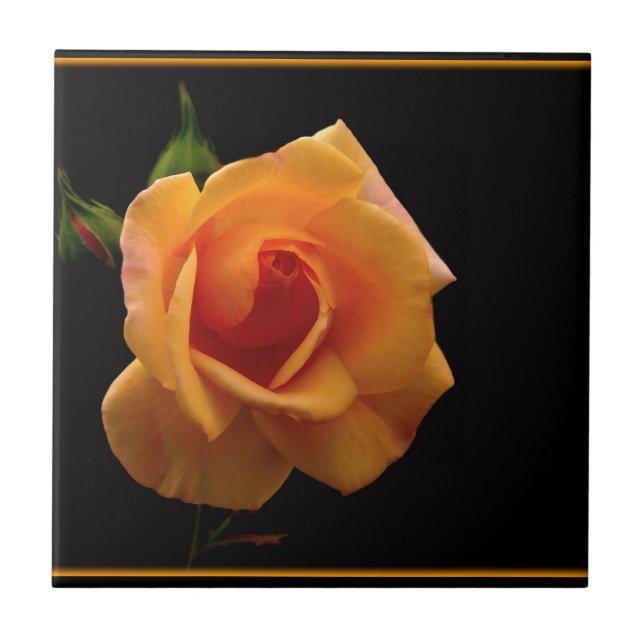 Vibrant orange rose print accessories gifts tile (Front)