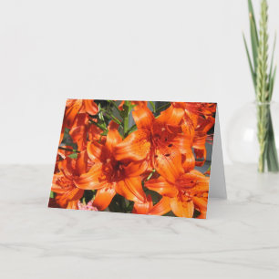 Vibrant Orange Tiger Lilies Card
