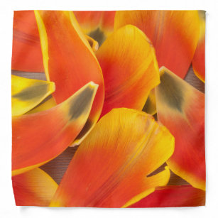 Vibrant Orange Tulip Petals Photograph Bandana