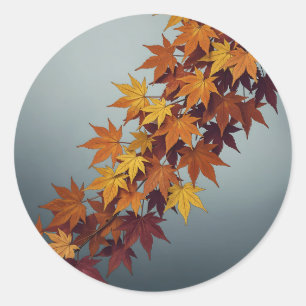 Vibrant Orange Yellow Maple Leaves Fall Foliage Classic Round Sticker