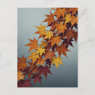 Vibrant Orange Yellow Maple Leaves Fall Foliage Postcard