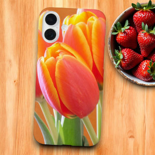 Vibrant Orange Yellow Tipped Tulip Photograph iPhone 16 Plus Case