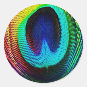 Vibrant Peacock Feather Classic Round Sticker