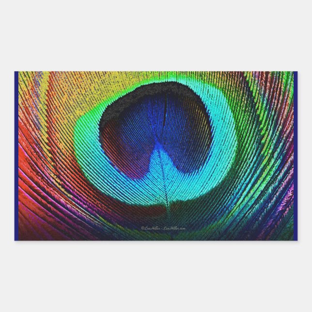 Vibrant Peacock Feather Rectangular Sticker (Front)