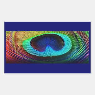 Vibrant Peacock Feather Rectangular Sticker