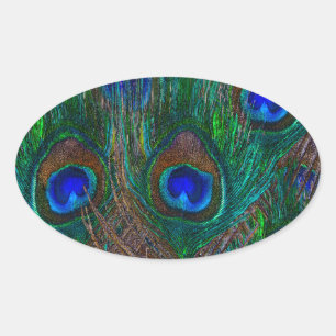 Vibrant Peacock Feathers Etching Style Decor Oval Sticker