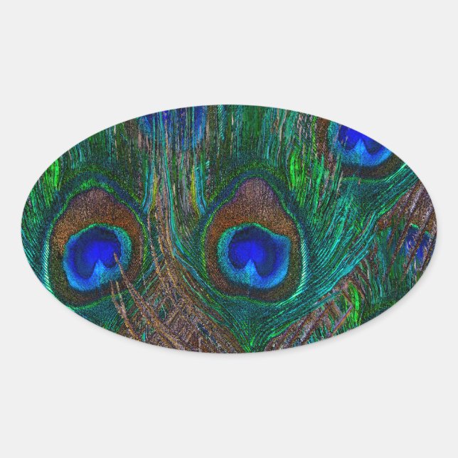 Vibrant Peacock Feathers Etching Style Decor Oval Sticker (Front)