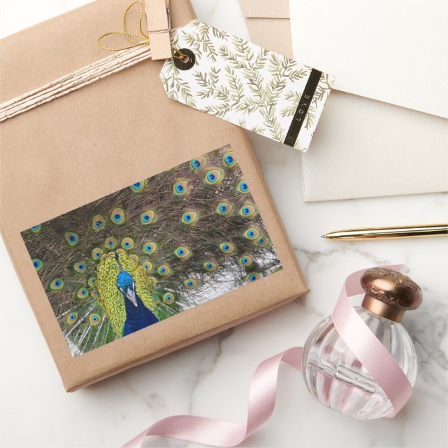 Vibrant Peacock Feathers Rectangular Sticker (Gifting)