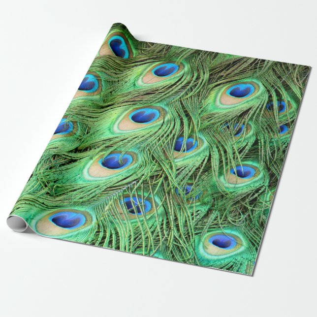 Vibrant Peacock Feathers Wrapping Paper (Unrolled)