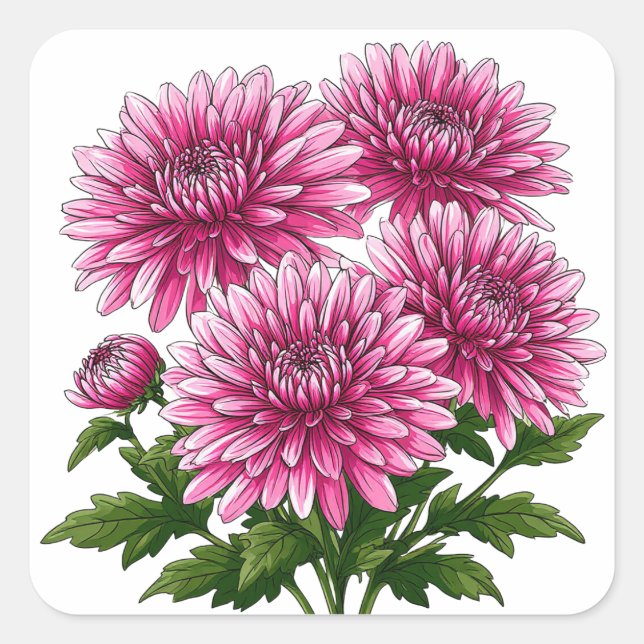 Vibrant Pink Chrysanthemums Blooming Square Sticker (Front)