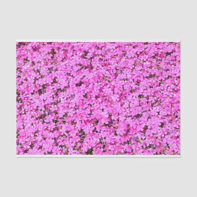 Vibrant Pink Floral Tissue Paper (Front)