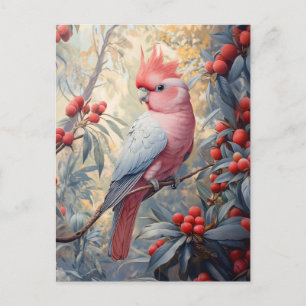 Vibrant Pink Galah Cockatoo Postcard