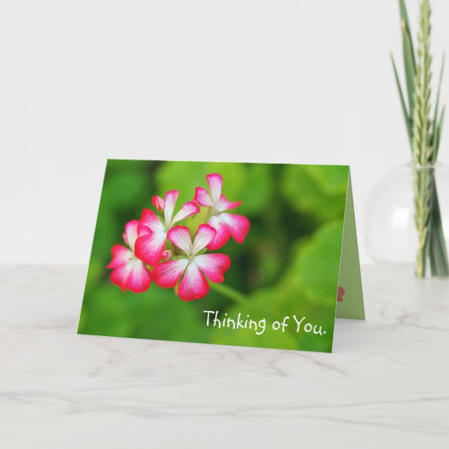 Vibrant Pink Geraniums | Greeting Card (Front)