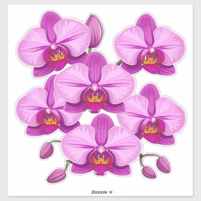 Vibrant Pink Orchid Bloom Cluster (Sheet)