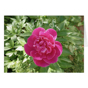 Vibrant Pink Peony Flower Get Well Soon Card