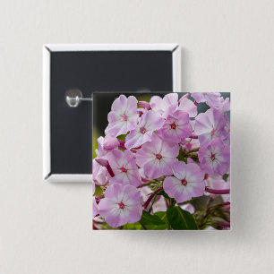 Vibrant Pink Phlox Botanical 15 Cm Square Badge