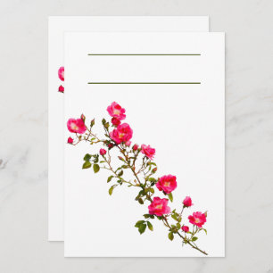 Vibrant Pink Rose Branch with Blossoms and Buds  Invitation