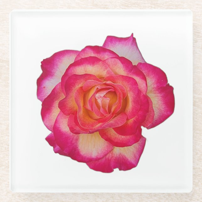 Vibrant Pink Rose Coaster (Front)