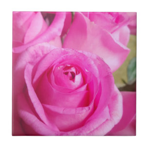 Vibrant Pink Roses Ceramic Tile