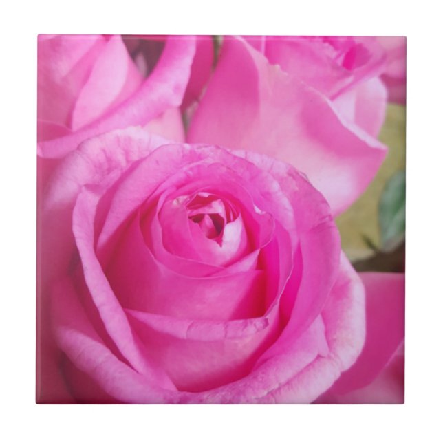 Vibrant Pink Roses Ceramic Tile (Front)