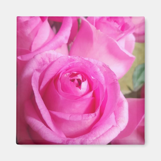 Vibrant Pink Roses Magnet (Front)