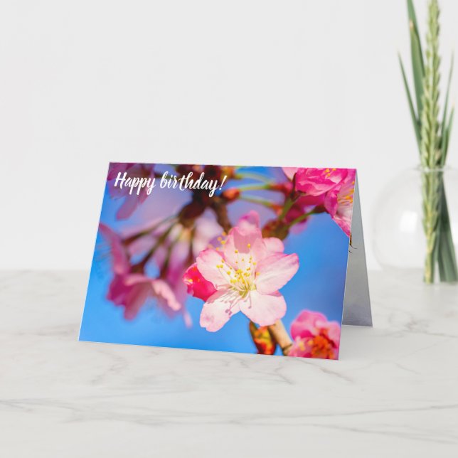 Vibrant Pink Sakura Blossoms And Clear Blue Sky Card (Front)