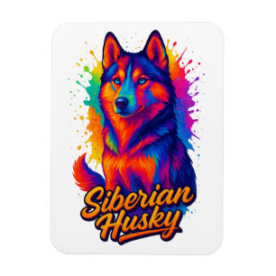 Vibrant Pop Art Siberian Husky Magnet