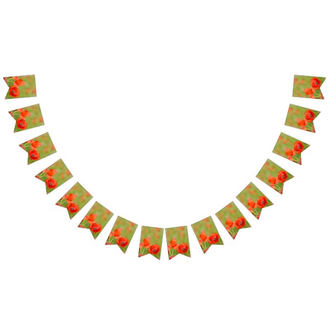 Vibrant poppies in a poppy field bunting  (All)
