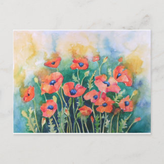 Vibrant Poppies Postcard